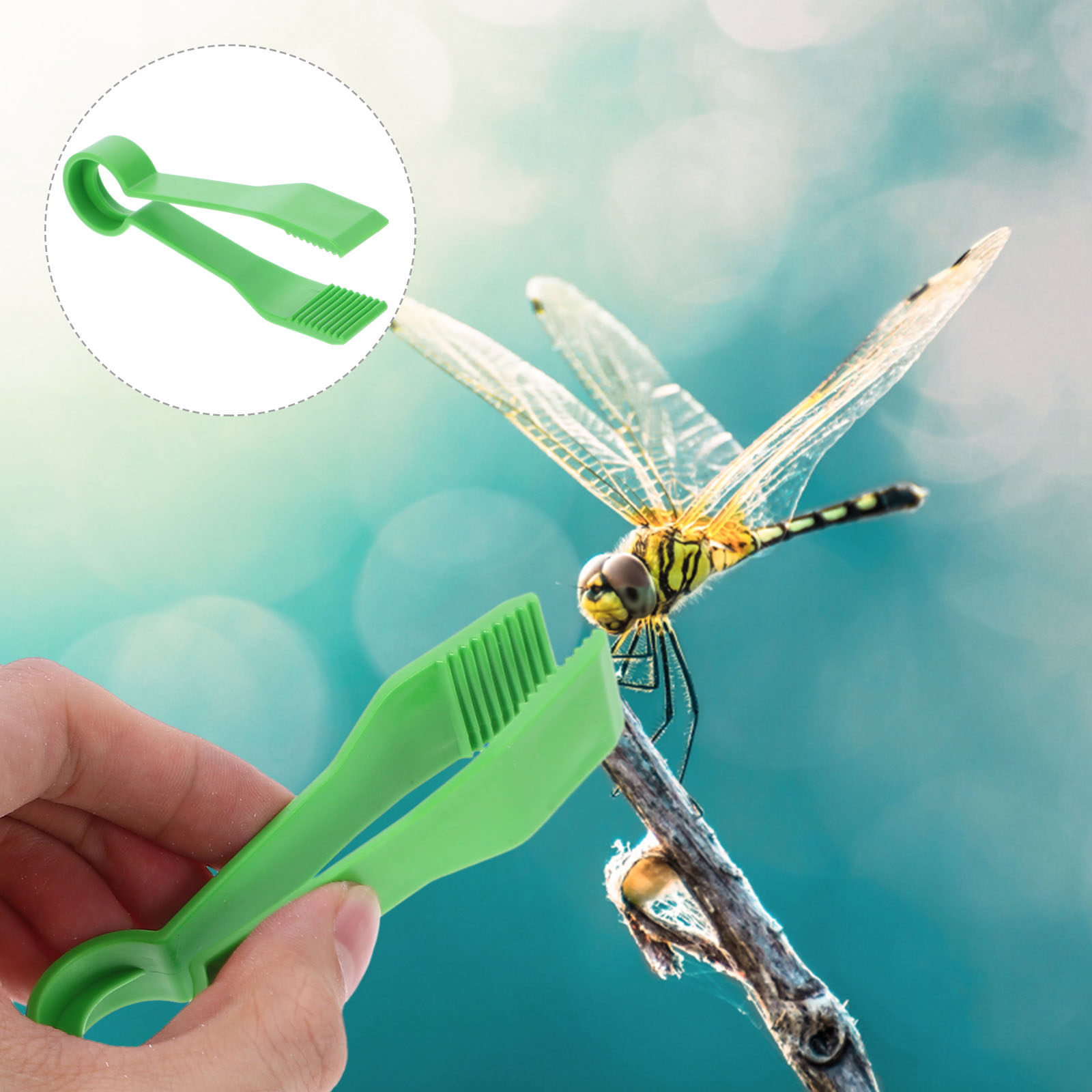 Kids Education Tips - 10Pcs Kids Plastic Tweezers Safe Blunt