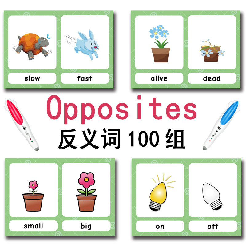 The 100 Groups Opposites Flash – обзор и цена Kids Education Toys