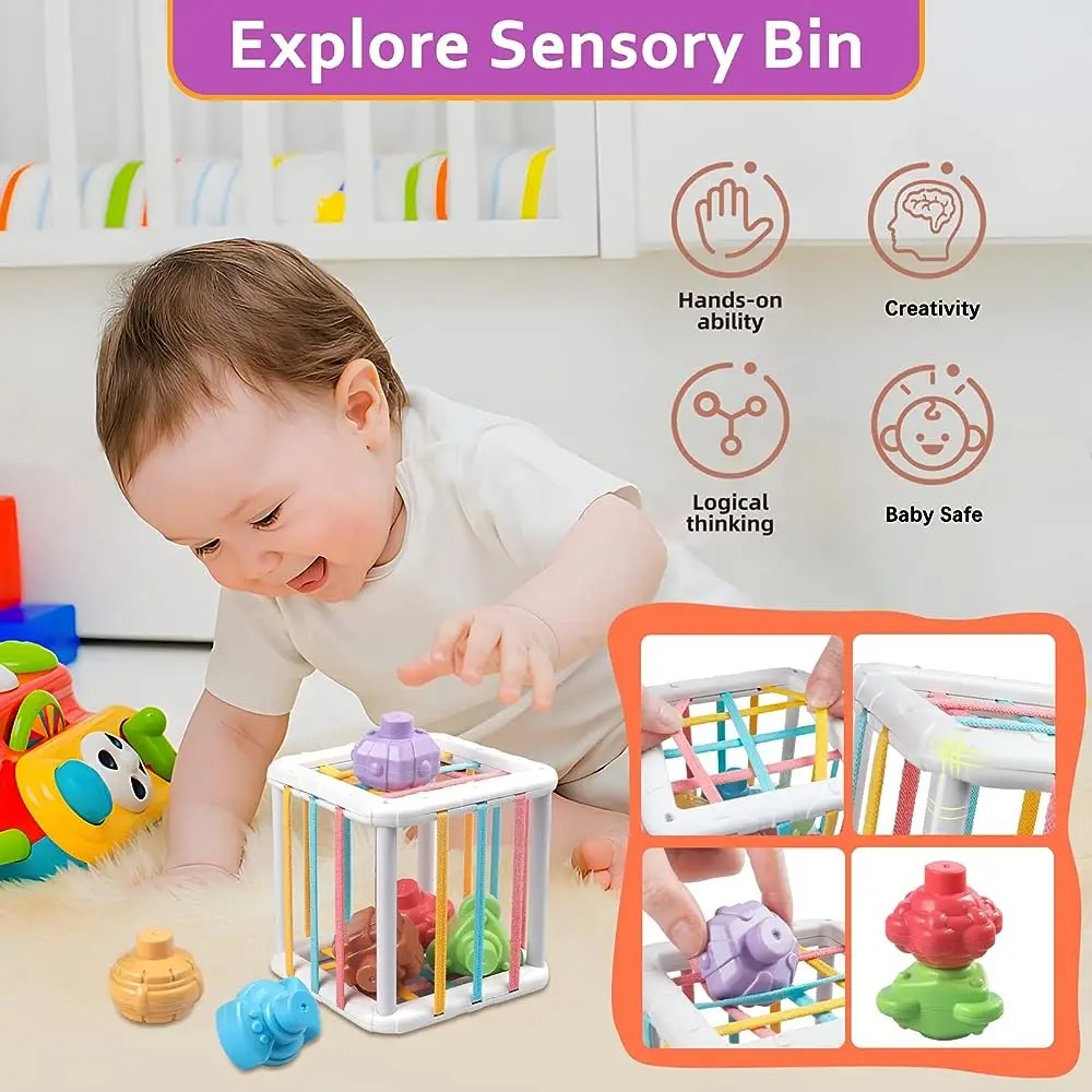 Rainbow Colorful Montessori Sh – обзор и цена Kids Education Toys