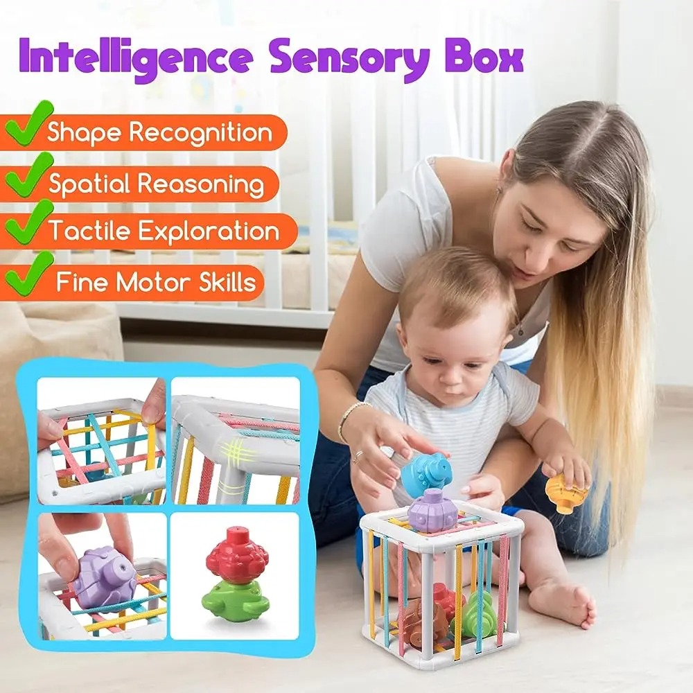 Rainbow Colorful Montessori Sh – обзор и цена Kids Education Toys